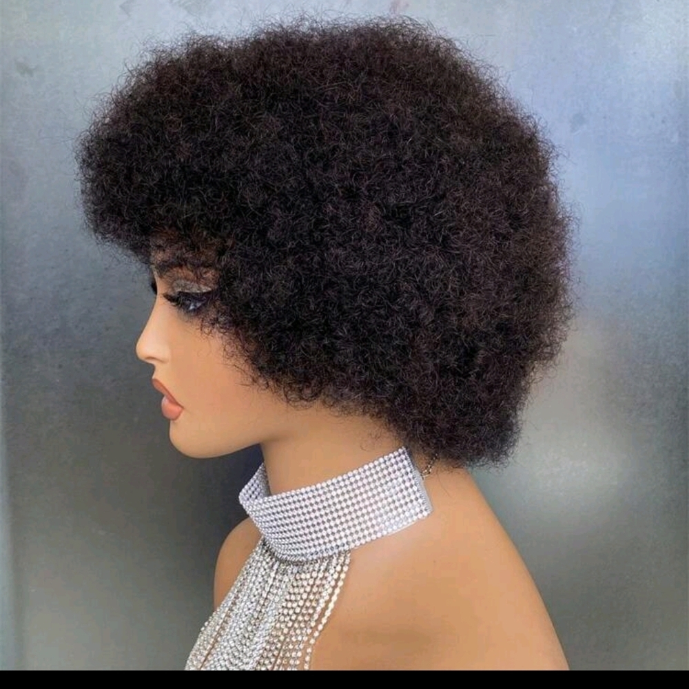Curly Black  Afro Wig Human Hair